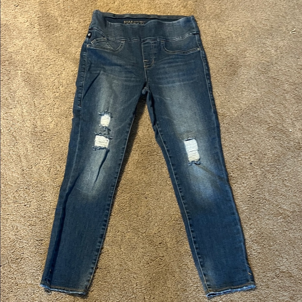 Rock & Republic Dark Blue Distressed Skinny Jeans